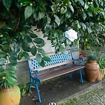 Casa Com Piscina Privada De 10m E Jardim, Ate 8 Pessoas, Perto Do Porto 度假居