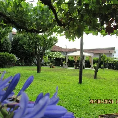 펜션 Casa Com Piscina Privada De 10m E Jardim, Ate 8 Pessoas, Perto Do Porto