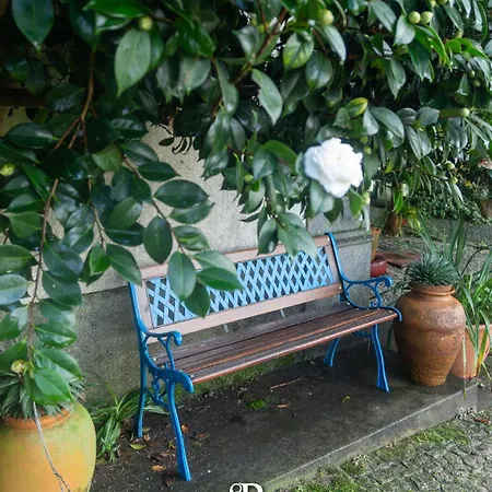 Casa Com Piscina Privada De 10m E Jardim, Ate 8 Pessoas, Perto Do Porto 펜션